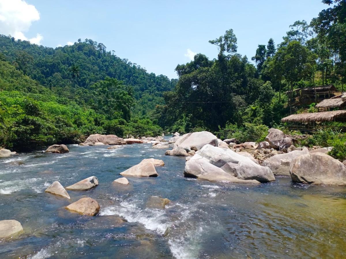Gió Lào Eco Lodge - Đảo chè Thanh Chương Trai Do Ngoại thất bức ảnh