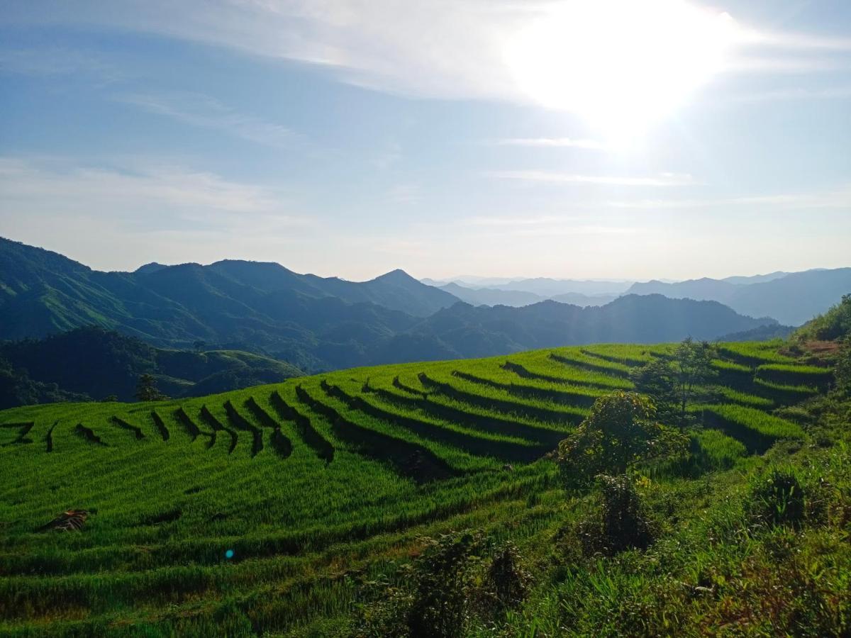 Gió Lào Eco Lodge - Đảo chè Thanh Chương Trai Do Ngoại thất bức ảnh