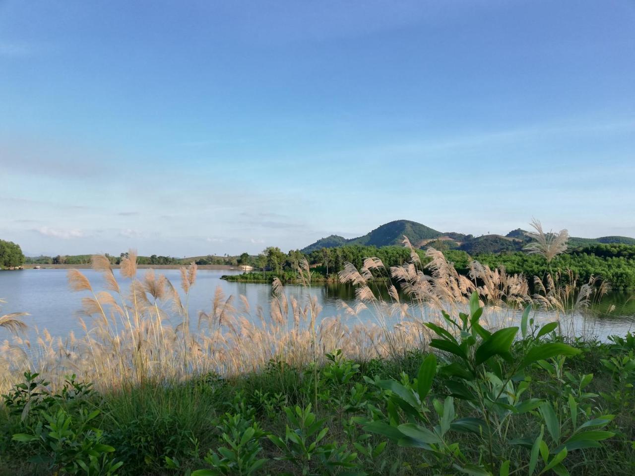 Gió Lào Eco Lodge - Đảo chè Thanh Chương Trai Do Ngoại thất bức ảnh