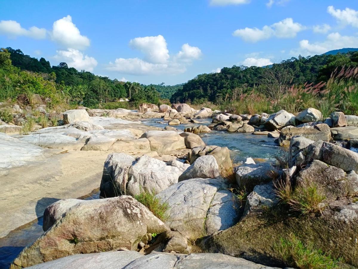 Gió Lào Eco Lodge - Đảo chè Thanh Chương Trai Do Ngoại thất bức ảnh