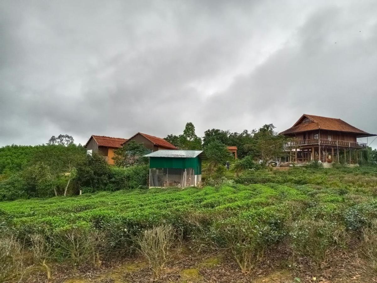 Gió Lào Eco Lodge - Đảo chè Thanh Chương Trai Do Ngoại thất bức ảnh